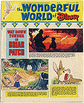 The Wonderful World of Disney No. 10